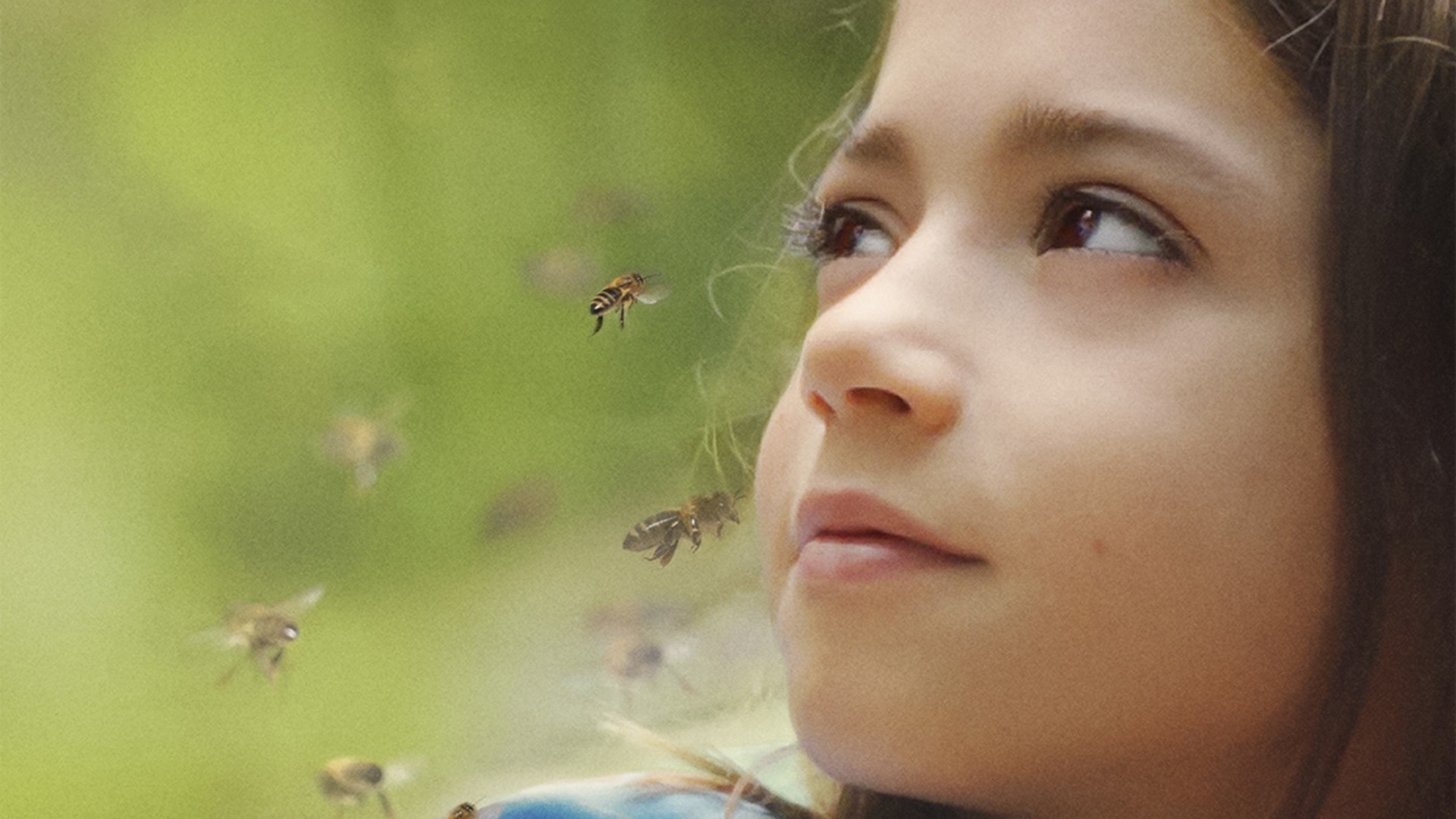 Becoming Lucía: A Journey Beyond Binaries in ‘20,000 Species of Bees’ (2023)